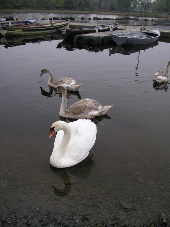 Lakeland Midsummer Lakehouse Oughterard Exterior foto